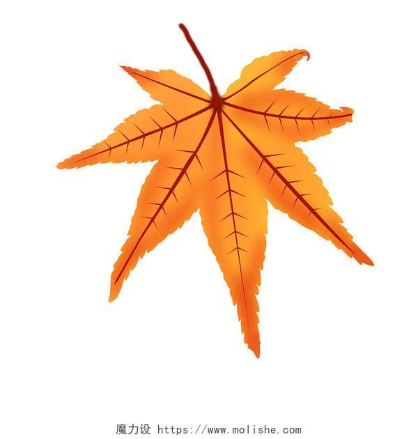 秋天的落叶枫叶插画素材简约渐变秋天叶子